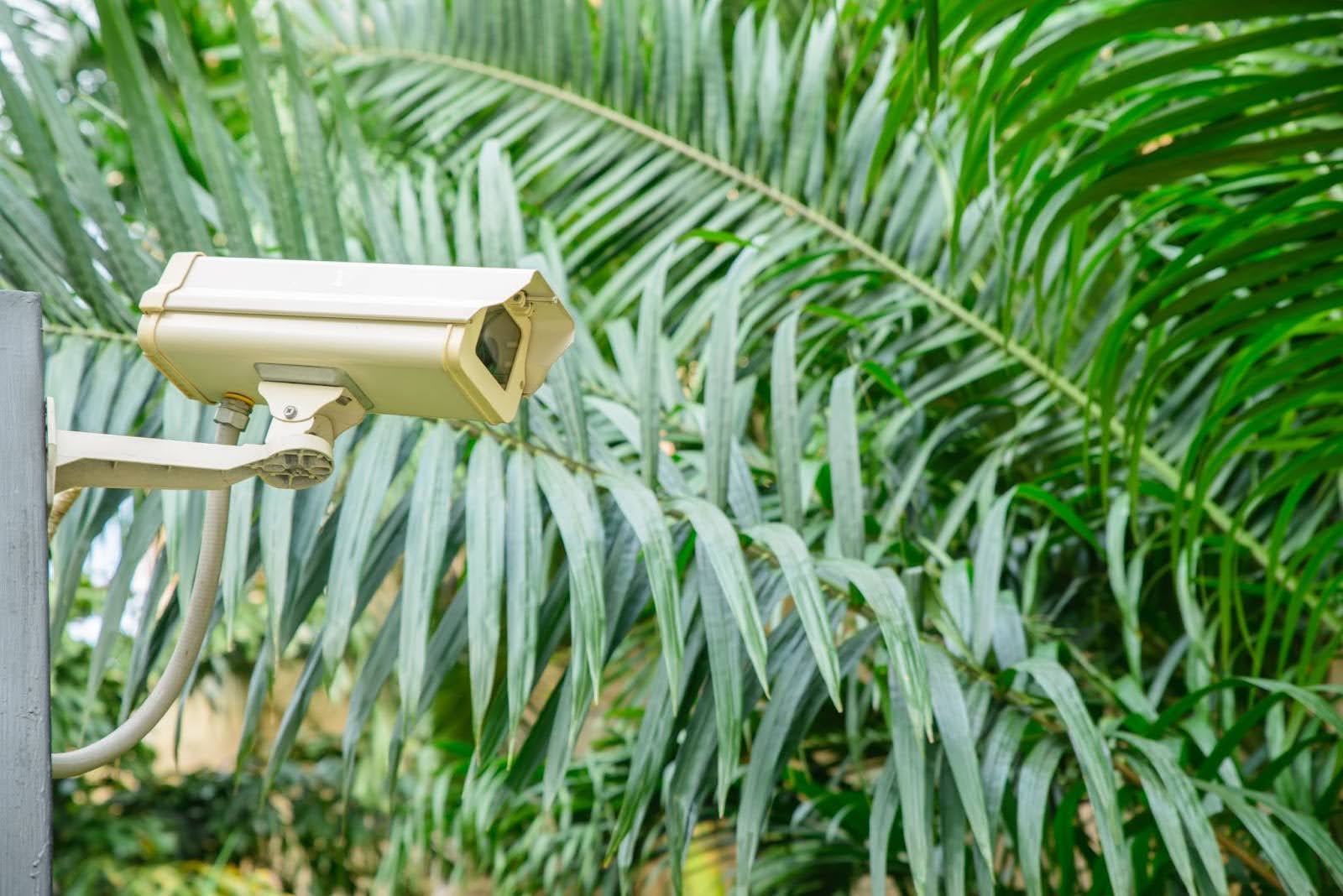 Future Trends in Fence Intrusion Detection and Perimeter Security
