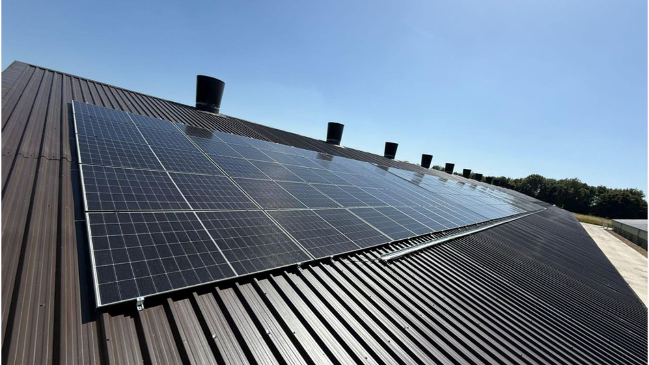 Commercial Solar Panels for UK Businesses: How to Take Control of Energy Costs