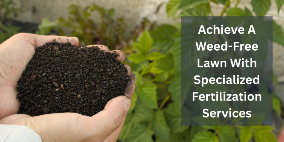 Achieve A Weed-Free Lawn With Specialized Fertilization Services