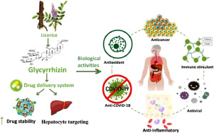 Glabridin Powder and Dipotassium Glycyrrhizate Powder Manufacturers: High Purity Licorice Actives