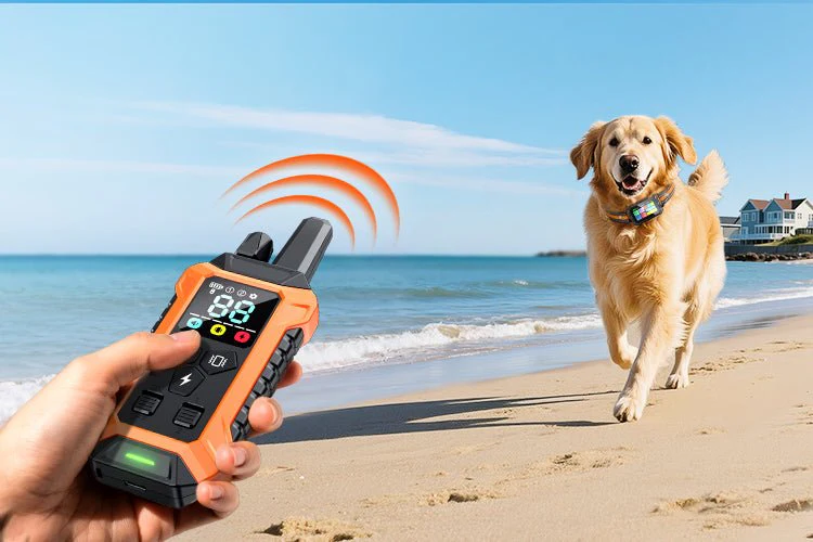 GPS Dog Fences: The Ultimate Solution for Multi-Dog Households