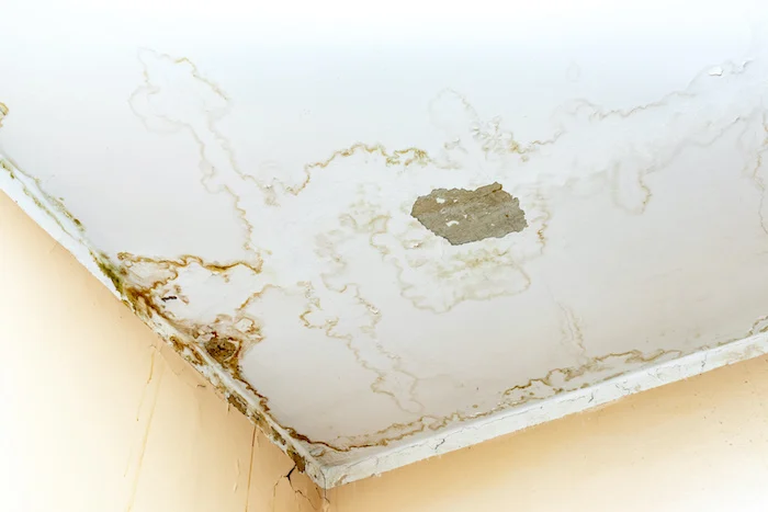 How Much Damage Can a Shower Leak Through a Ceiling Cause If Left Unfixed?