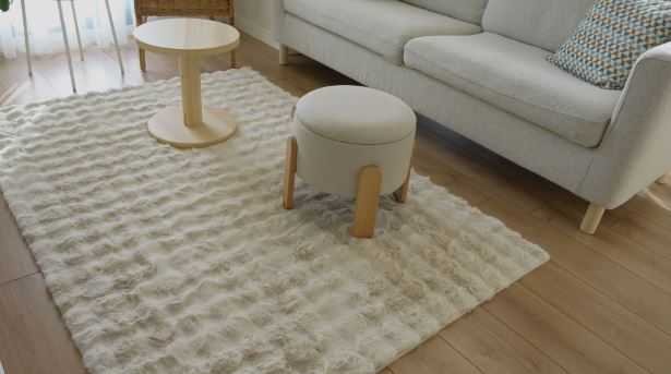 How Living Room Rugs Transform Your Home’s Style?